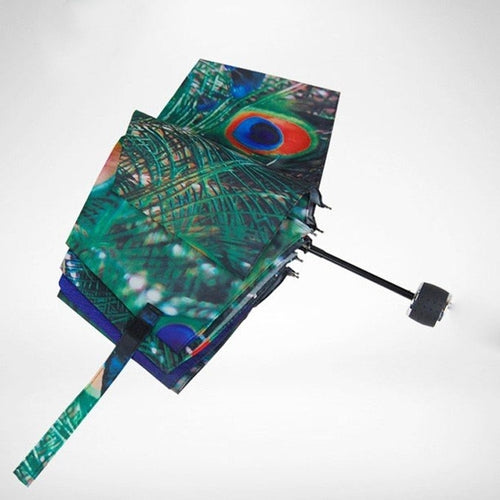 Peacock Sunny Umbrella